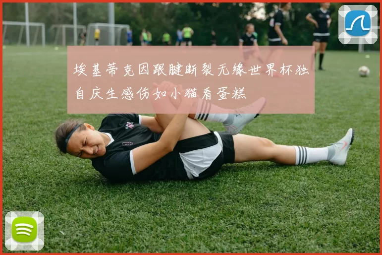埃基蒂克因跟腱断裂无缘世界杯独自庆生感伤如小猫看蛋糕