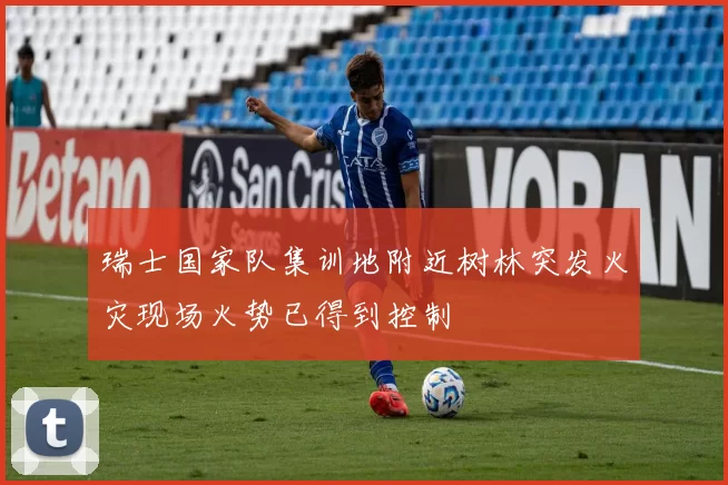 瑞士国家队集训地附近树林突发火灾现场火势已得到控制